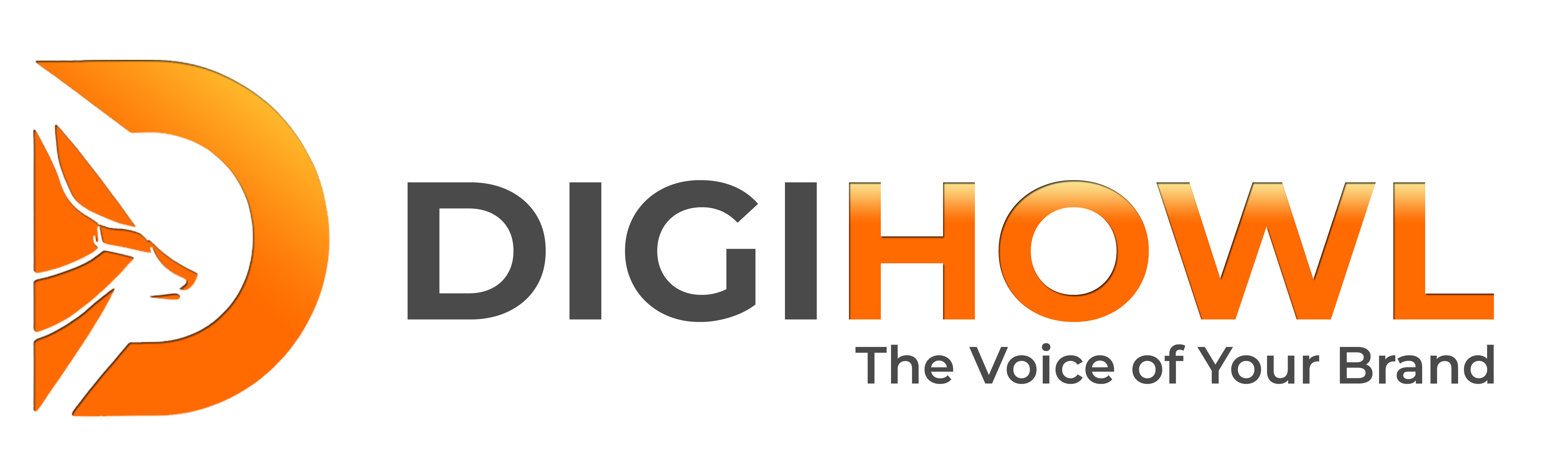 SEO services in Chennai by DigiHowl